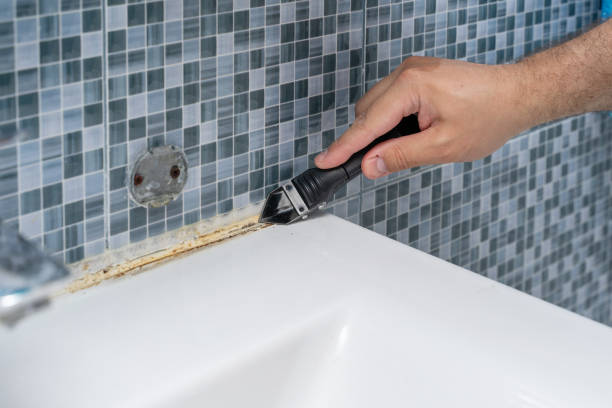 Best Mold Removal Specialists  in Ruskin, FL