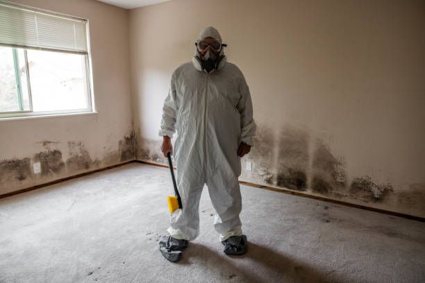 Ruskin, FL Mold Removal Company